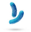 Bacteri&euml;n 1,3 micron